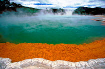 Champagne pool Rotura North Is New Zealand. Sulphur sediments and CO2 emissions