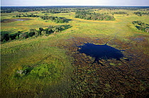 Aerial view of Okavango delta game trails (hippos) lead to waterhole Botswana