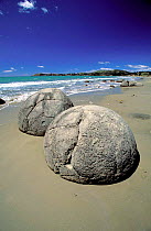 Moeraki boulders exposed at low tide Oamaru beach South Is New Zealand