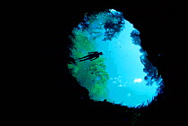 Snorkler at Blue hole, head spring that feeds Ichetucknee river, Florida, USA, Model released