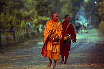 Buddhist monks, Salakam, E-sarn, Thailand