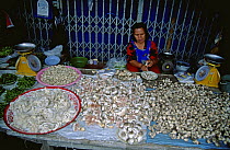 Fungi for sale on market stall, Sarakam, E-Sarn, Thailand