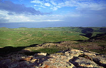 Highland landscape, Guassa region, Ethiopia