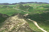 Track running through highland landscape, Guassa region, Ethiopia