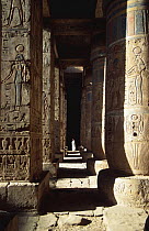 Stone columns of Medinat Habu temple (Ramses III), Luxor, Egypt, 2002