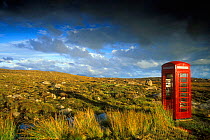 Isolated old fashioned telephone booth on moorland Highlands Scotland UK