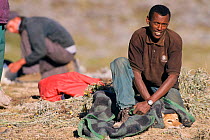 Researcher with tranquillised Simien jackal {Canis simensis} Bale Mts NP, Ethiopia, 2004. Ethiopian Wolf Conservation Project