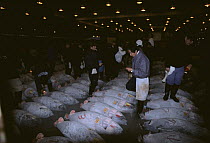 Tuna auction, Tsukiji fish market, Tokyo, Japan 2002
