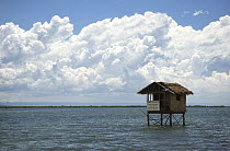 Observatory hut in marine sanctuary, Handumon Is, Philippines