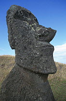 Ancient stone statue, Easter Island, Pacific ocean 1999