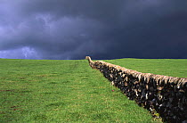 Grey storm clouds over grass field and stone wall, Dumfries, Scotland, UK