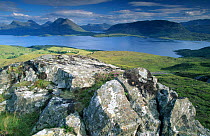 Upper Loch Torridon, Wester-Ross, Highland, Scotland.