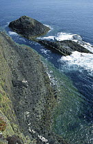 Eroded basalt columns used as path to Fingal's cave, Staffa Island, Inner Hebrides, Scotland, UK