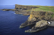 Basalt columns on Staffa Is, Inner Hebrides, Scotland UK