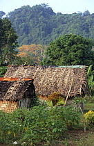 Traditional thatched houses, Big Bay, Espiritu Santo, Vanuatu, Melanesia, 2004
