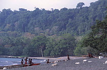 Ni-Vanuatu boys on beach with boats, Big Bay, Espiritu Santo, Vanuatu, Melanesia 2004