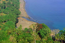 Coast + Lowland forest, Vatthe conservation area, Espiritu Santo, Vanuatu, Melanesia