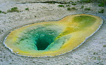 Belgian geyser hole, Yellowstone National Park, Wyoming, USA