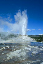 Castle geyser spouting, Old Faithful area, Yellowstone National Park, Wyoming, USA