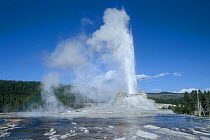 Castle geyser spouting, Old Faithful area, Yellowstone NP, Wyoming, USA