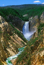 Lower falls of the Yellowstone river viewed from Artist point, Yellowstone, USA