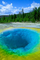 Morning Glory Pool, Yellowstone , Wyoming, USA