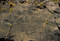 Rock engravings from the Bimbaches culture, Julan, El Hierro, Canary Islands