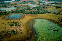 Aerial view of the Pantanal wetlands, Brazil