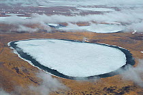 Permafrost tundra, Kolyma delta, Siberia, Russia.