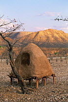 Himba grain storage hut, Kaokoland, Namibia 1999.