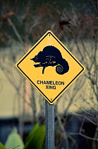 Chameleon road crossing warning sign, Madagascar