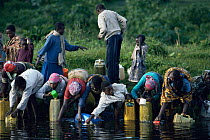 Rwandan Hutu refugees collecting drinking water, refugee camp was right on edge of Virunga NP, Democratic Republic of Congo, formerly Zaire, 1994