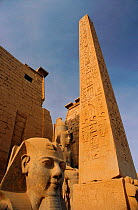 Statue of Ramses II, obelisk and hieroglyphs, Luxor, Egypt.