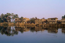 Village houses on river front, Nile river, Luxor, Egypt