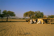 Village of Sayalt, Darfur Province, western Sudan, 1986
