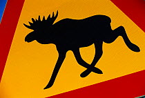 Moose warning road sign, Sweden.