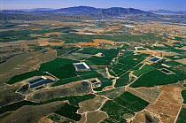 Aerial view of fields for cultivation and reservoirs, Jumilla, Murcia, Spain