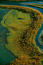 Aerial view of Rapa river delta, Sarek National Park, Sweden