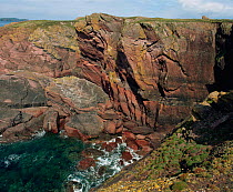 Old red sandstone exposed on coastal cliffs at  Skokholm, Wales, UK