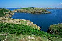 Looking out over Skomer island, RSPB reserve, Pembrokeshire, Wales
