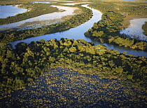 Aerial view of Tampico wetlands, Tamaulipas, Gulf of Mexico, Mexico