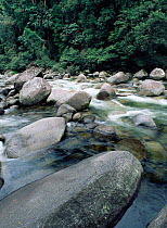 Rocks in river flowing through Daintree National Park, Queensland, Australia