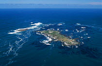 Aerial view of Dyer Island, Western Cape, South Africa, major shark hotspot