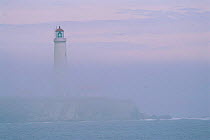 Lighthouse in the fog, Cap des Rosiers, Gaspesie, Quebec, Canad