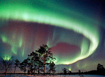 Northern lights, Lapland, Finland