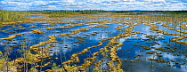 Wet swamp land, eastern Lapland, Finland