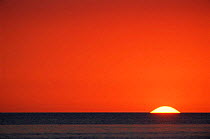 Sun setting over Gulf of Mexico, Florida, USA.