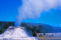 Castle geyser, Upper geyser basin, Yellowstone National Park, Wyoming, USA