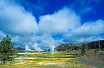 Geysers on Firehole river, Yellowstone National Park, Wyoming, USA
