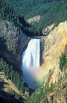 Lower Falls (308 ft) Yellowstone river, Yellowstone National Park, WY, USA